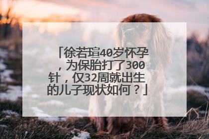 徐若瑄40岁怀孕,为保胎打了300针,仅32周就出生的儿子现状如何?