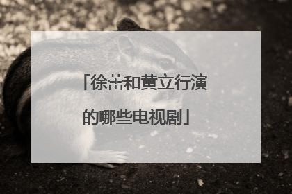 徐蕾和黄立行演的哪些电视剧