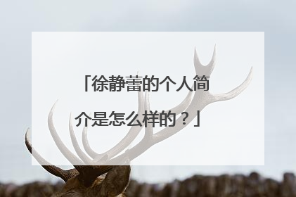 徐静蕾的个人简介是怎么样的？