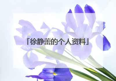 徐静蕾的个人资料