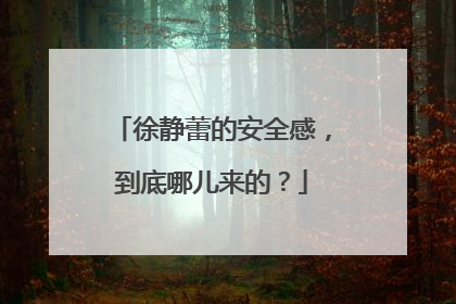 徐静蕾的安全感,到底哪儿来的?