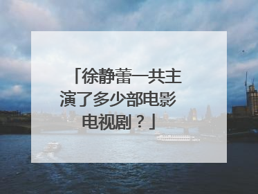 徐静蕾一共主演了多少部电影电视剧?