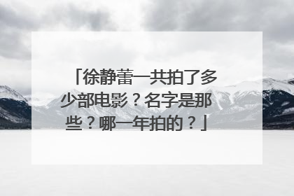 徐静蕾一共拍了多少部电影？名字是那些？哪一年拍的？