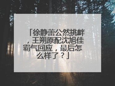 徐静蕾公然挑衅,王朔原配沈旭佳霸气回应,最后怎么样了?