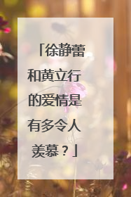 徐静蕾和黄立行的爱情是有多令人羡慕?