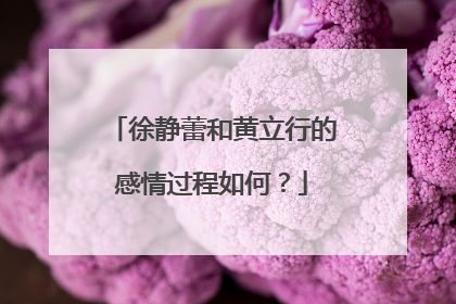 徐静蕾和黄立行的感情过程如何?