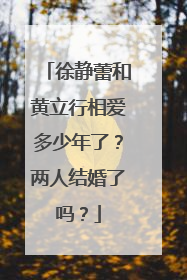 徐静蕾和黄立行相爱多少年了?两人结婚了吗?
