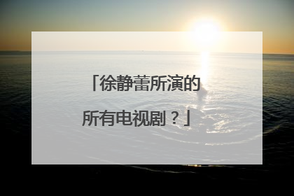 徐静蕾所演的所有电视剧？