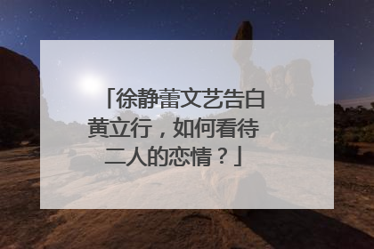 徐静蕾文艺告白黄立行,如何看待二人的恋情?