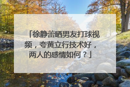 徐静蕾晒男友打球视频,夸黄立行技术好,两人的感情如何?