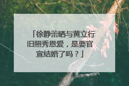 徐静蕾晒与黄立行旧照秀恩爱，是要官宣结婚了吗？