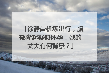 徐静蕾机场出行，腹部隆起疑似怀孕，她的丈夫有何背景？