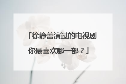 徐静蕾演过的电视剧你最喜欢哪一部?