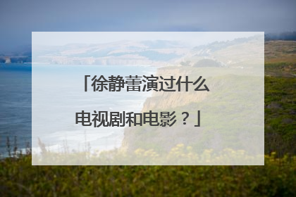 徐静蕾演过什么电视剧和电影?