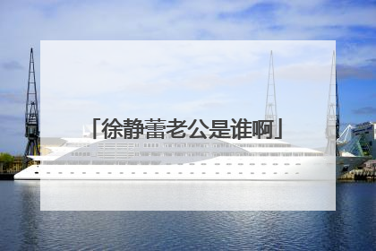 徐静蕾老公是谁啊