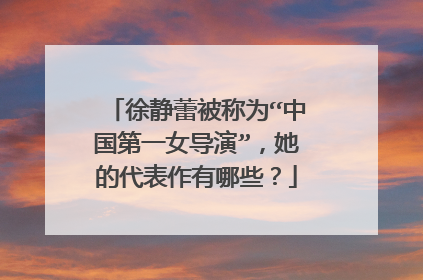 徐静蕾被称为“中国第一女导演”，她的代表作有哪些？