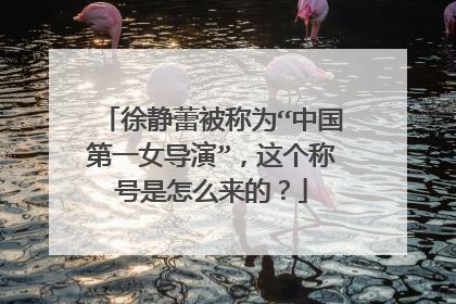 徐静蕾被称为“中国第一女导演”,这个称号是怎么来的?