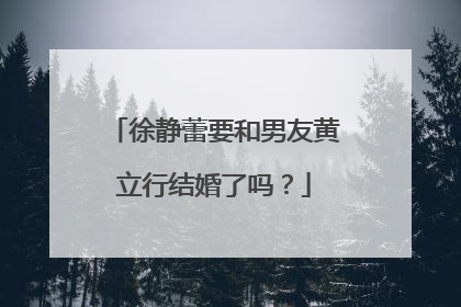 徐静蕾要和男友黄立行结婚了吗?
