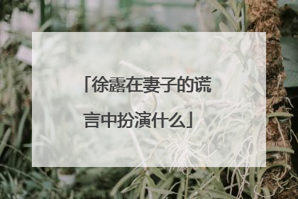 徐露在妻子的谎言中扮演什么