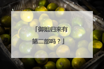 御姐归来有第二部吗？