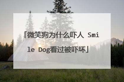 微笑狗为什么吓人 Smile Dog看过被吓坏