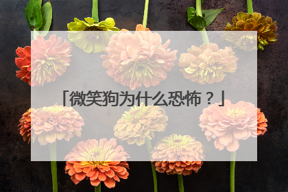 微笑狗为什么恐怖?