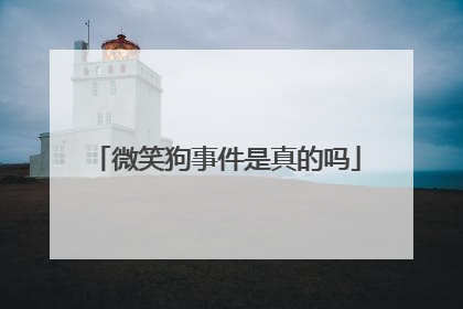 微笑狗事件是真的吗