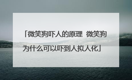 微笑狗吓人的原理 微笑狗为什么可以吓到人拟人化