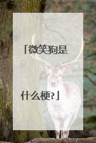 微笑狗是什么梗?