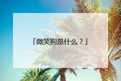 微笑狗是什么？