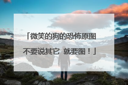微笑的狗的恐怖原图 不要说其它 就要图!