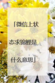 微信上状态求锦鲤是什么意思