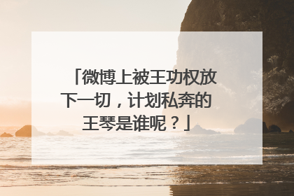 微博上被王功权放下一切，计划私奔的王琴是谁呢？