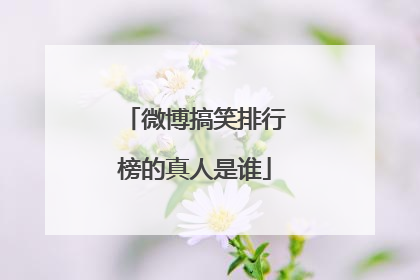 微博搞笑排行榜的真人是谁