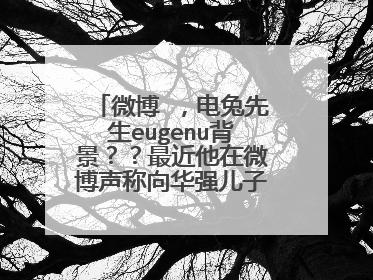 微博 ，电兔先生eugenu背景？？最近他在微博声称向华强儿子欠他一百万，王思聪还点赞了。