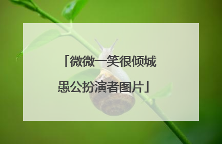 微微一笑很倾城愚公扮演者图片