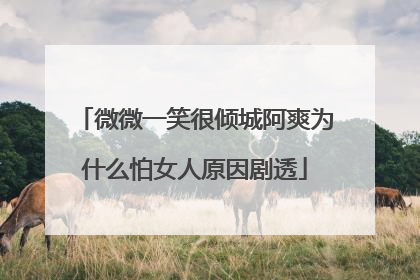 微微一笑很倾城阿爽为什么怕女人原因剧透