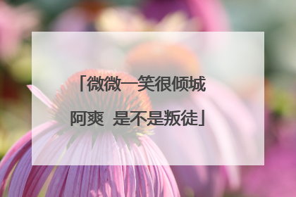 微微一笑很倾城 阿爽 是不是叛徒