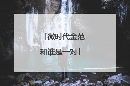 微时代金范和谁是一对