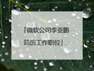 微软公司李亚鹏简历工作职位