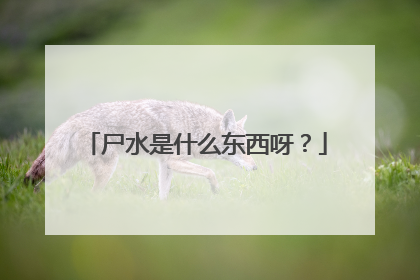 尸水是什么东西呀？