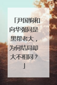 尹国驹和向华强同是黑帮老大,为何结局却大不相同?