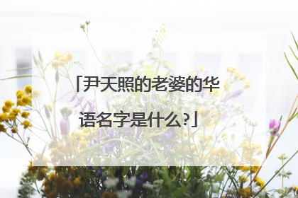 尹天照的老婆的华语名字是什么?