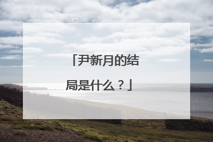 尹新月的结局是什么？