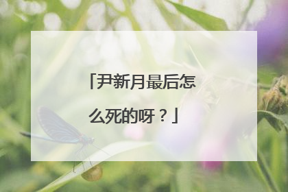 尹新月最后怎么死的呀?
