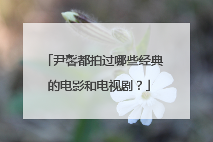 尹馨都拍过哪些经典的电影和电视剧?