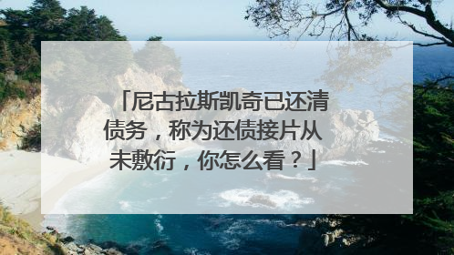 尼古拉斯凯奇已还清债务，称为还债接片从未敷衍，你怎么看？