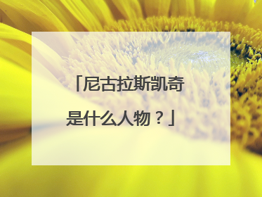 尼古拉斯凯奇是什么人物？