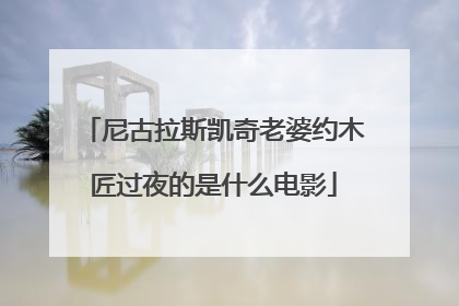尼古拉斯凯奇老婆约木匠过夜的是什么电影