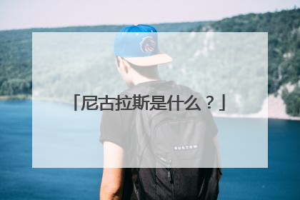 尼古拉斯是什么？